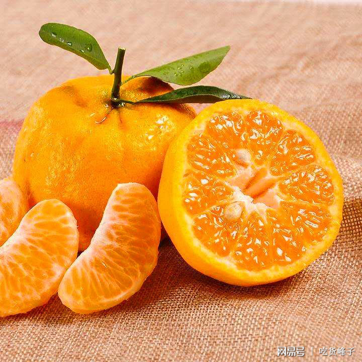 探秘小巷美味宝藏，粑粑柑的上市时间揭秘