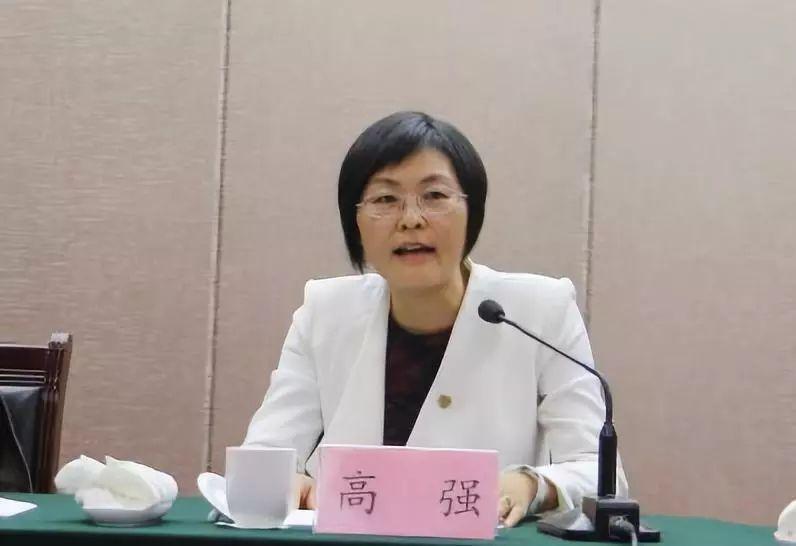 菏泽东城国际最新动态及观点论述