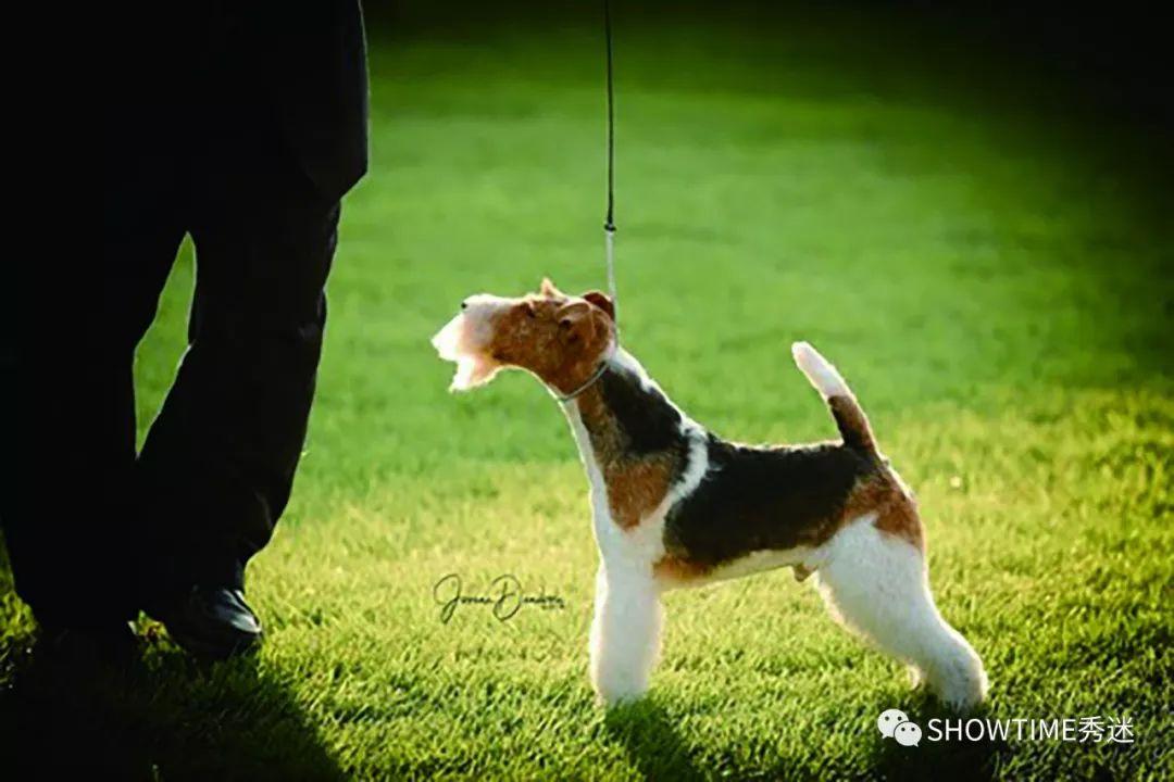 Sky系列最新封面探索自然美景，寻找内心平和的轻松之旅