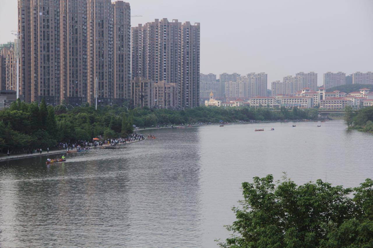 端午节比赛全攻略，从入门到精通，教你玩转端午节比赛！