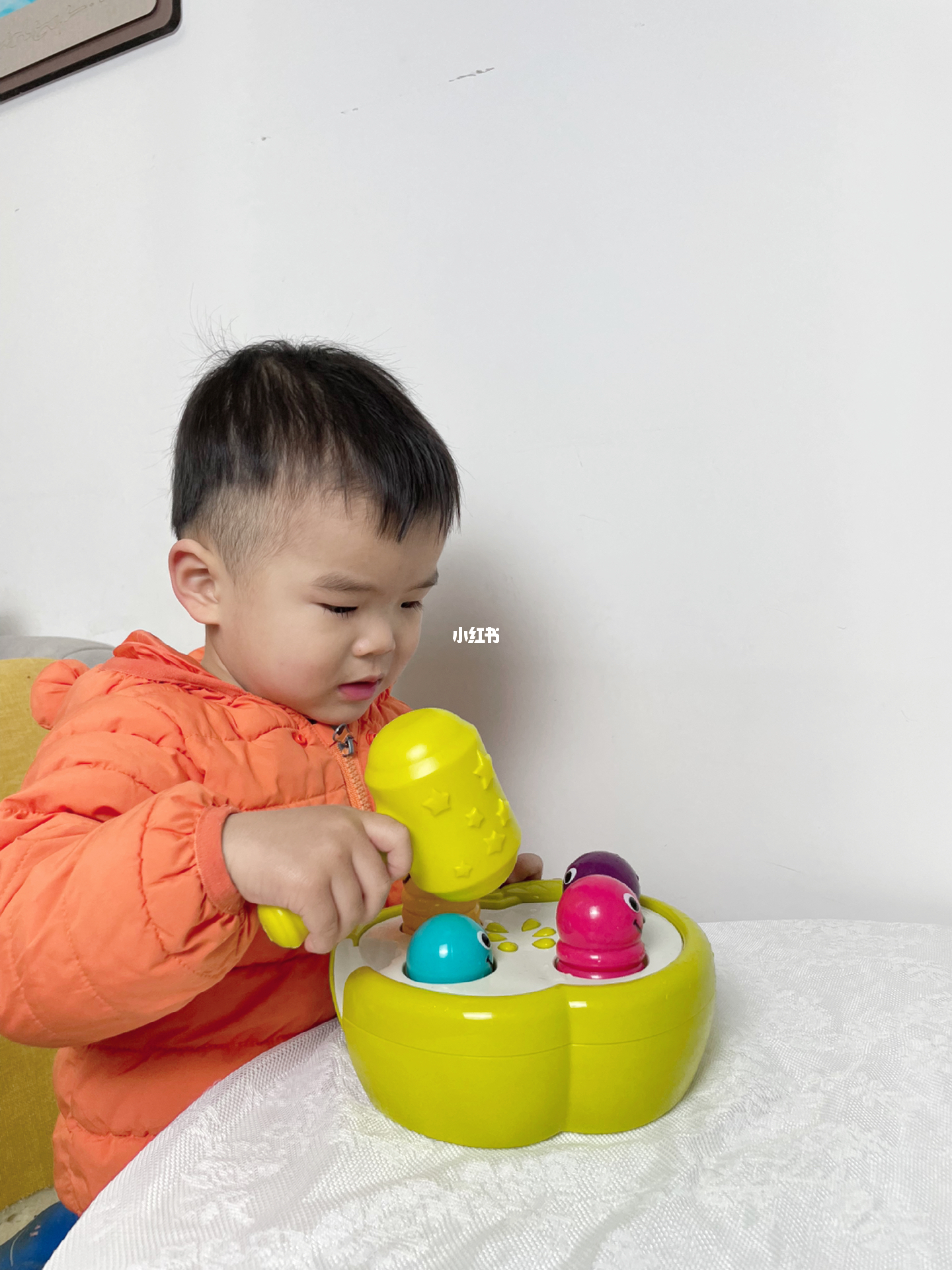 最新玩具玩法指南,玩转最新玩具的详细步骤