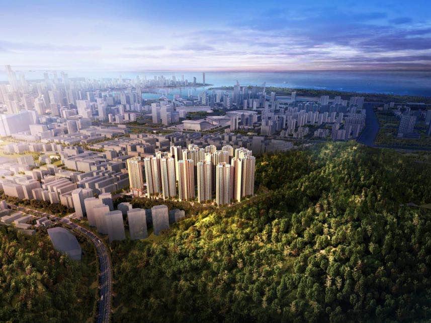 宝安股票行情深度解析与展望