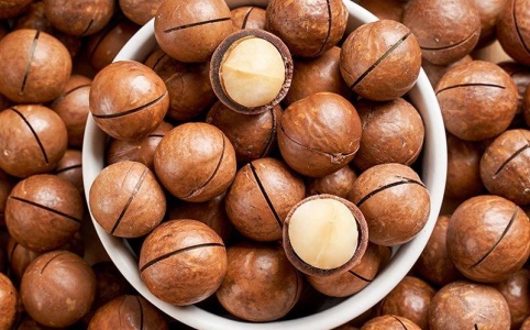 夏威夷果行情引领潮流，科技新品开启未来生活新纪元体验