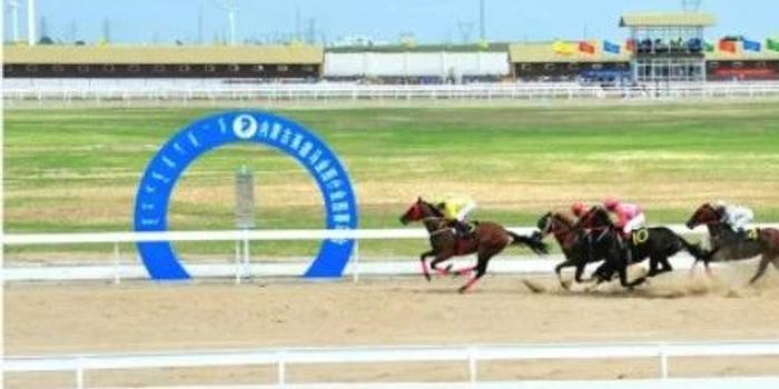 莱德马业未能上市，探究原因及其影响