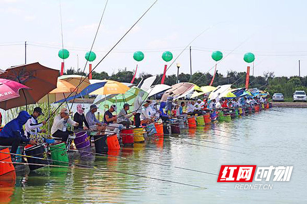 长沙钓鱼比赛，科技盛宴，开启未来垂钓新纪元体验
