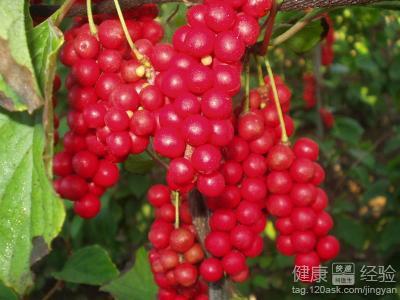 古玩 第75页