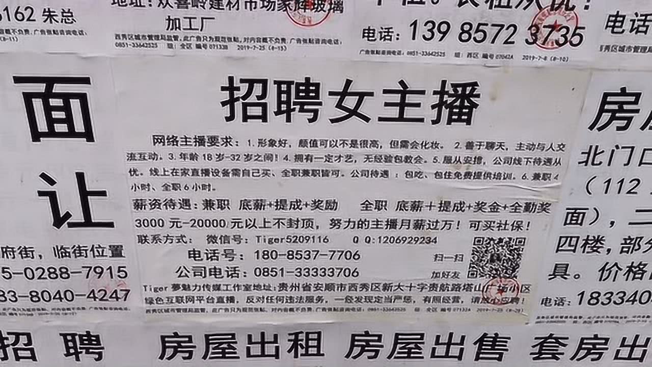 招远最新招聘信息发布，启程寻找理想职业与自然美景的双重体验之旅