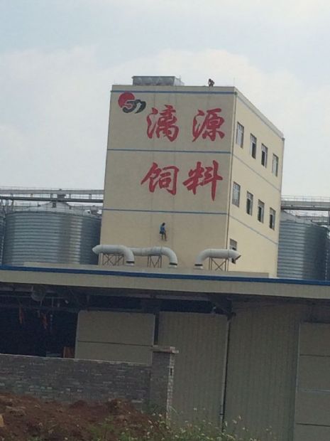 漓源饲料价格表，优质饲料的性价比之选