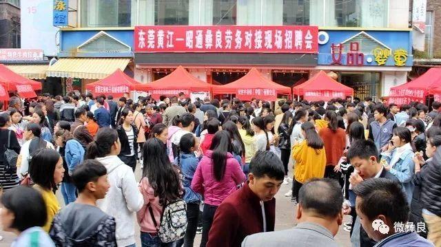 哈尔滨群力区最新招聘信息汇总