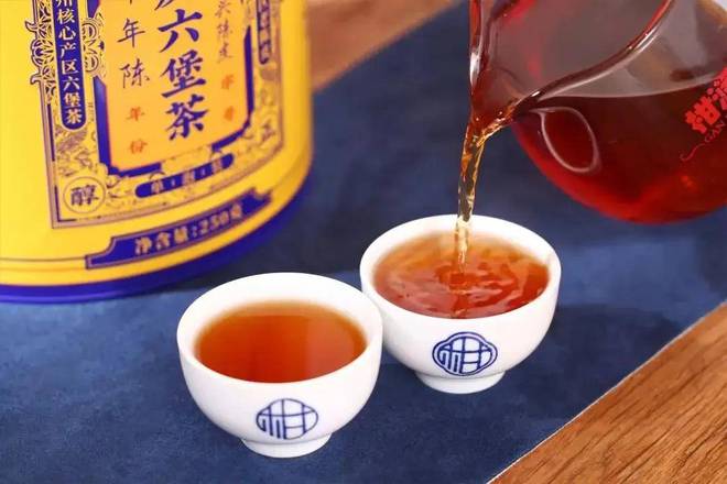 广西梧州六堡茶价格深度解析，揭秘市场真相🍵