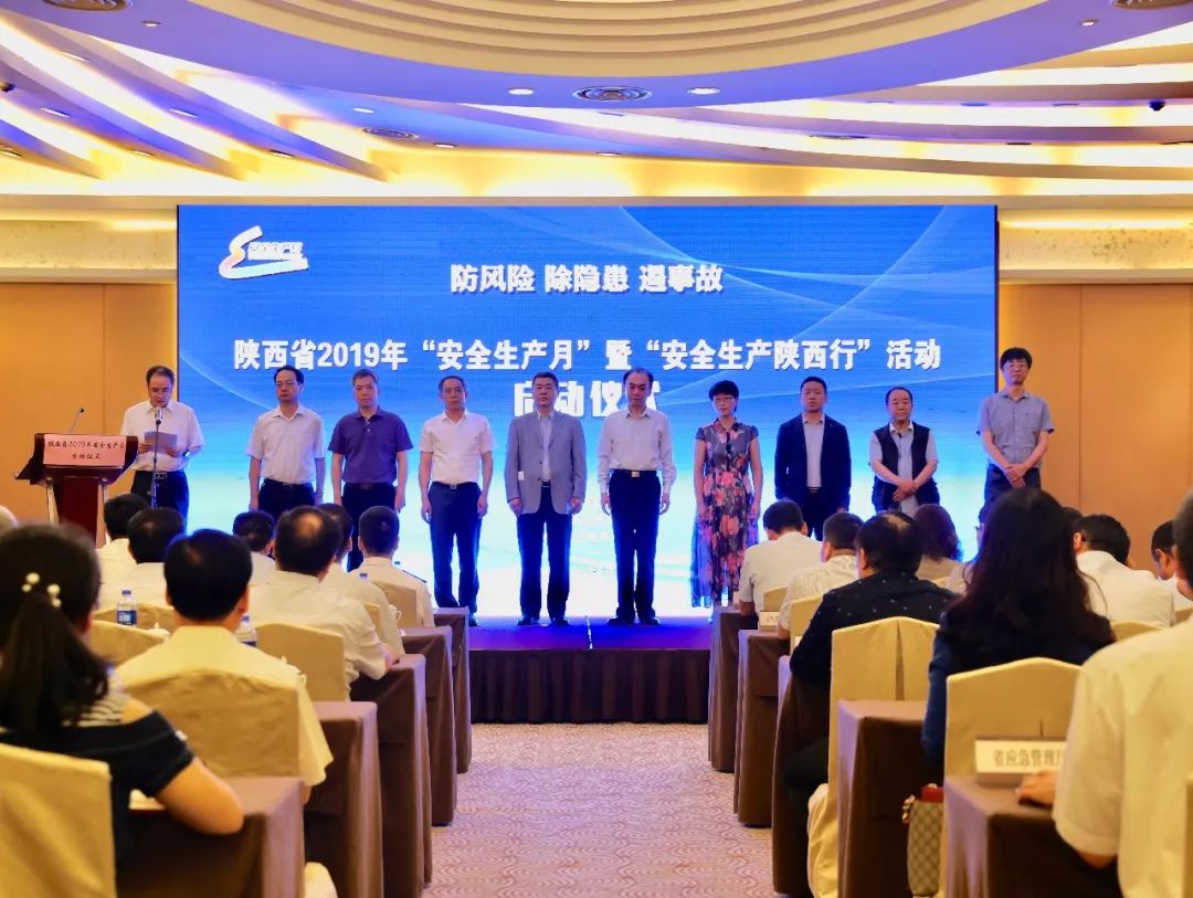 宋老虎新动态,温馨日常的奇遇之旅