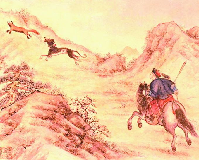 宋老虎新动态,温馨日常的奇遇之旅