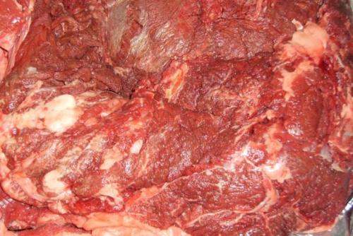 最新驴肉价格行情解析，获取与理解价格走势详解